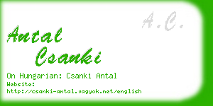 antal csanki business card